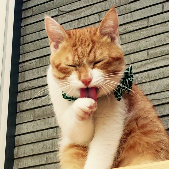 51aec6aa bbeb 4ffd 8758 79060028da60