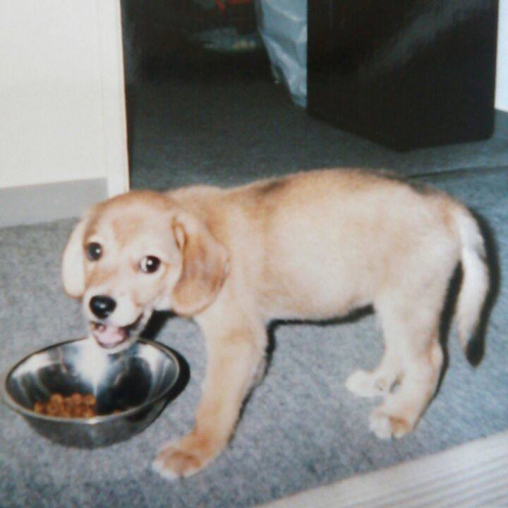 51af1fc6 ead5 4943 ba6c 213249f91729