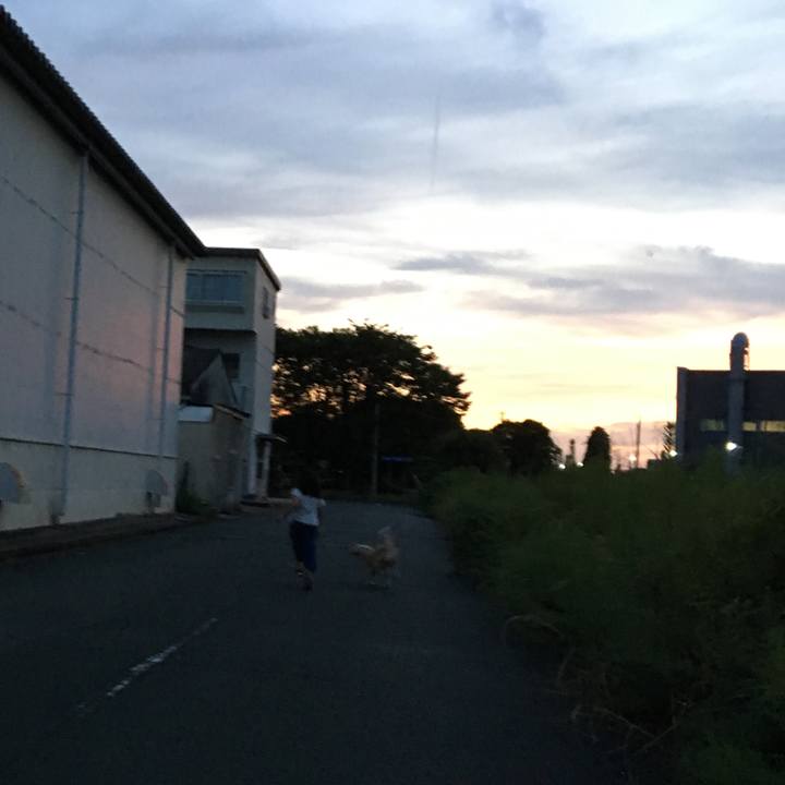 51af9e26 2f26 4c27 a40e 5e061ef68b91