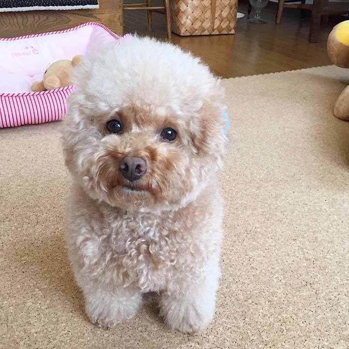 51afa5dd e4ae 4f41 8c83 22e05d0aa97b