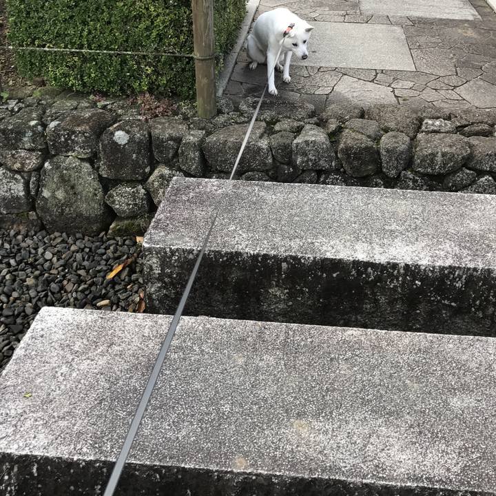 51afc094 15e2 4b51 8d5a b1896f1e9b0a