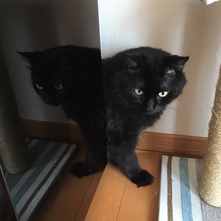 51aff25b 2d83 43a3 a49a 6d9c48e87522