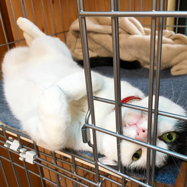 51b0cb5c 9595 4b46 86e7 b6bda79473b2