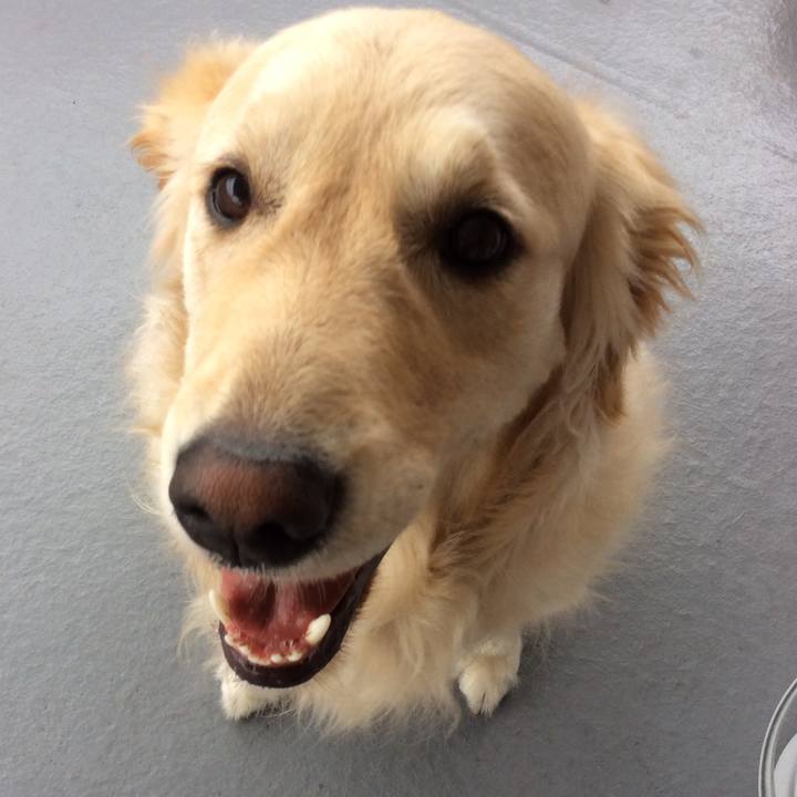 51b1181e d476 4f0a 8c69 2b8085e7dd8c