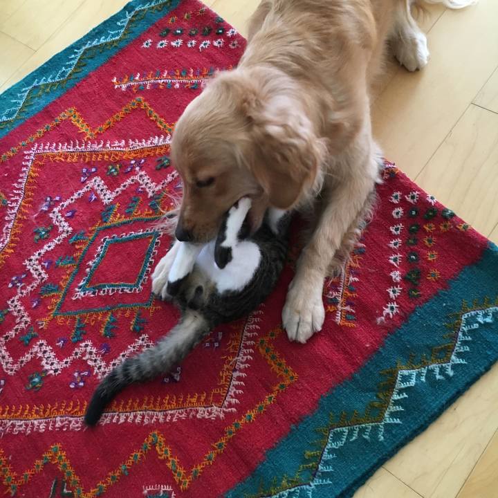 51b15def bd21 43b3 95e7 7c59c8e8ce59