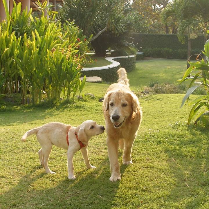 51b191e9 e88a 4cbe a767 217575278944