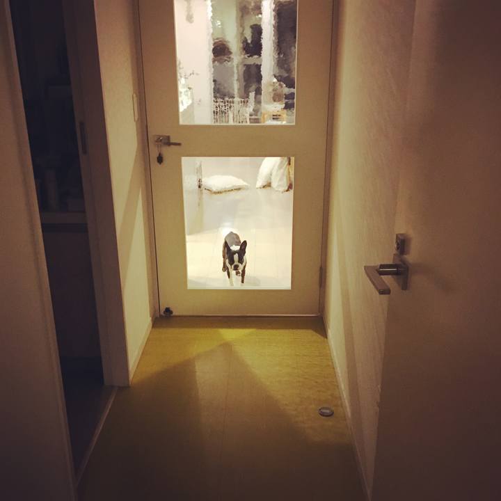 51b1a01e 0e22 4e74 9e07 c8e3a148db1e