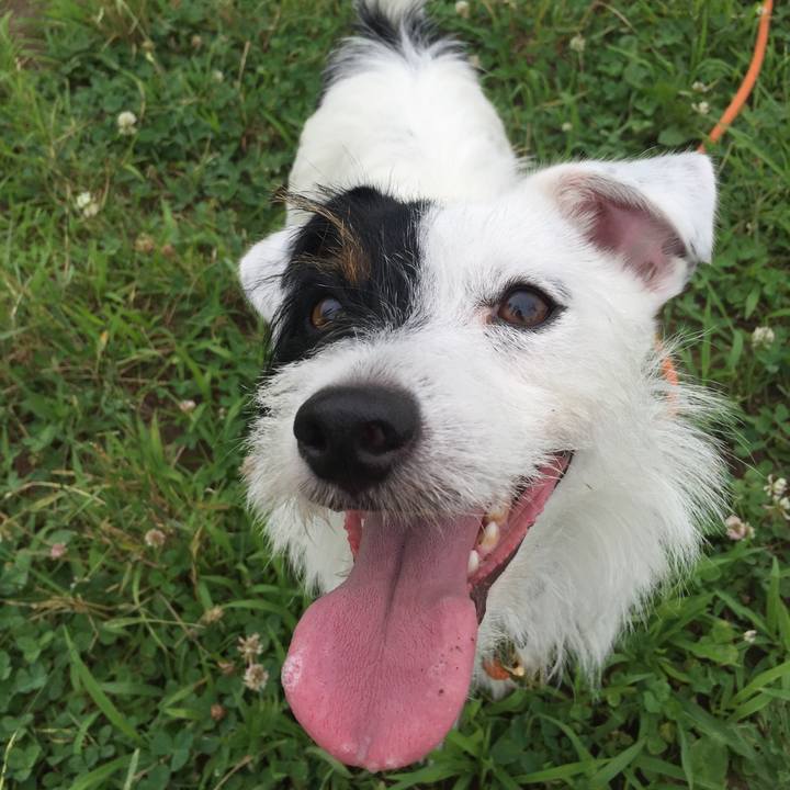 51b1efac f272 434a 9328 cb8812b56d47