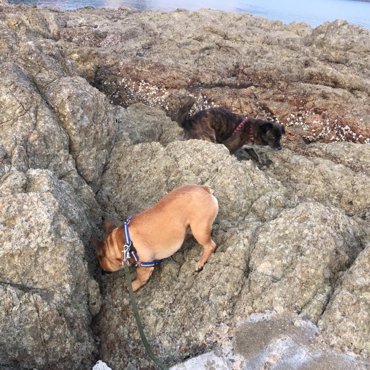 51b20062 02dd 43f1 8797 ddf055d8e993