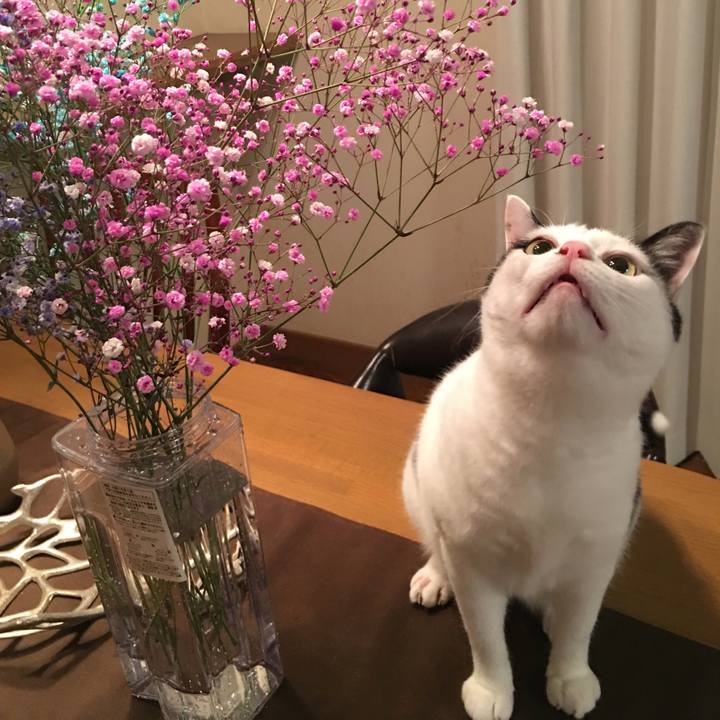 51b27979 25ea 4102 be11 94ab8b0acb2f