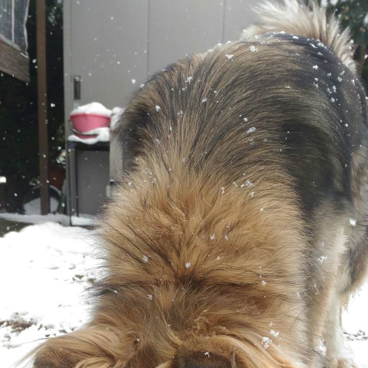 51b2fd61 a98e 4e5b 8d43 1f634b8adb3e