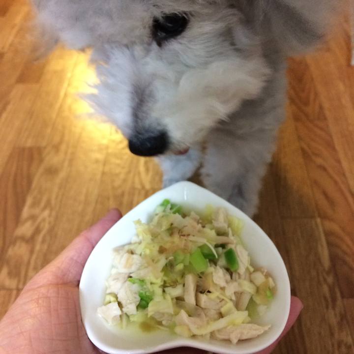 51b35843 5eda 4d5d 9869 360b3dc54e2c