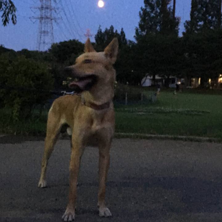 51b40cfc 8f02 49e8 aca3 65f395f8e1fd