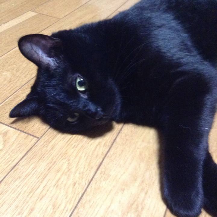 51b4897a e9a7 4774 bd69 a404dec3a0a9