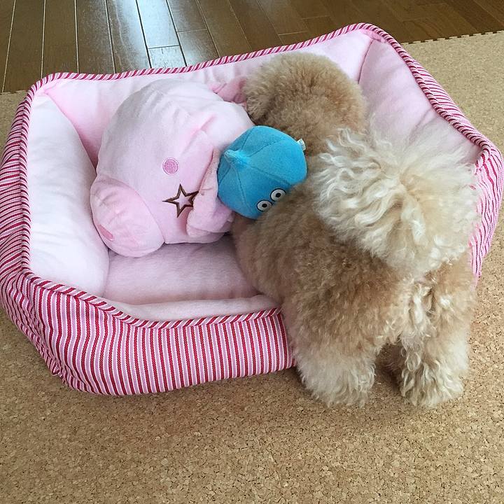 51b4a1b2 d81e 4fa4 9010 40dd57eb7042