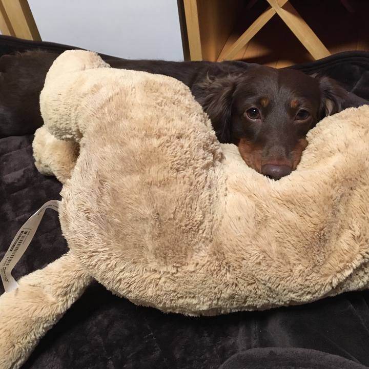 51b4bf75 ce7f 409c ae90 c8942500113e