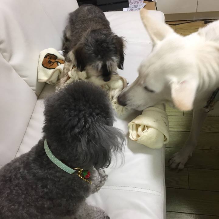 51b4e057 1dd9 4226 8395 2453c8191ea7