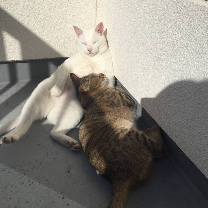 51b59aff 644e 4e0a 9a7a a88abe2d0e8b