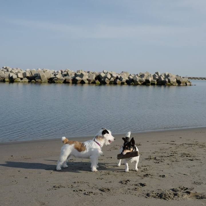 51b65f98 6d37 431a 964a 76e0a3491ccf