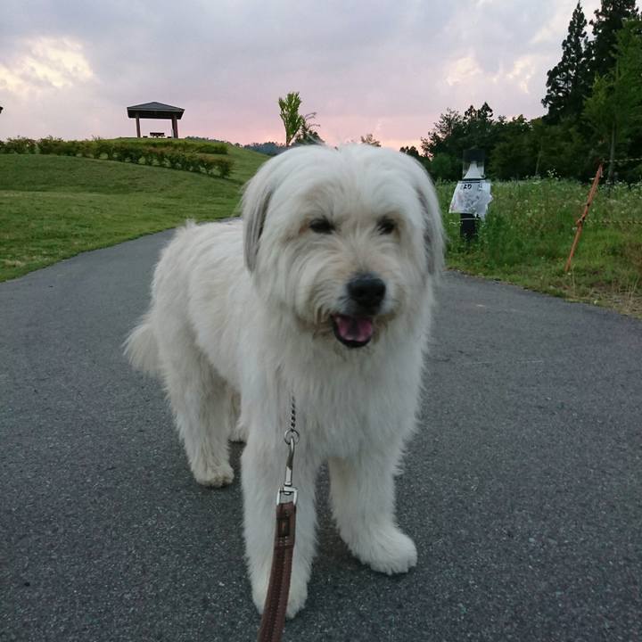 51b722e7 c5e4 44cc a264 6005f8c455e7