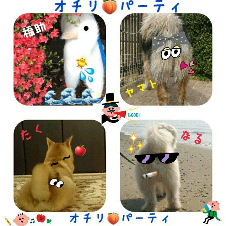 51b78d95 946a 4cef 8c6a 4c803f8aa040