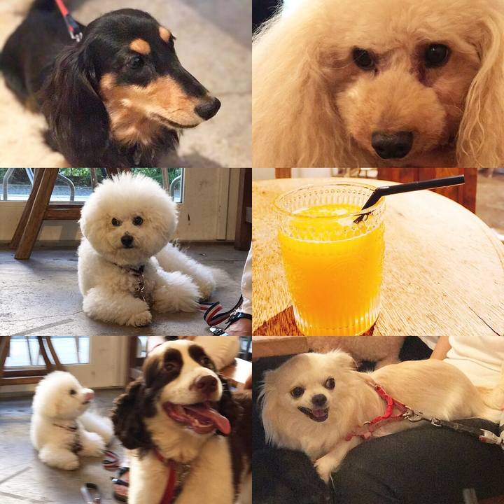 51b7cf20 9df3 4a47 8886 a75a634235e5