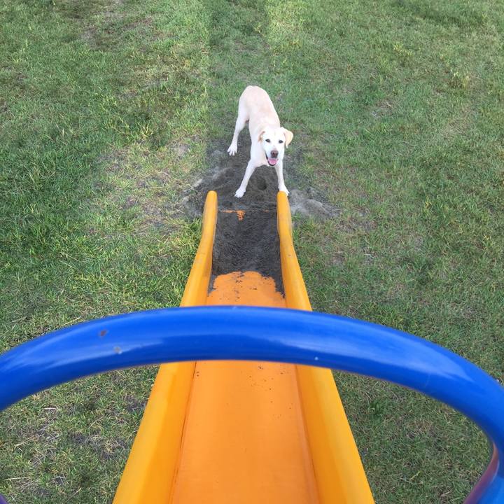 51b7f633 b760 4ecf b68e 01248026b4bc