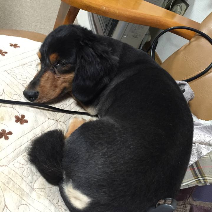 51b8d978 ed66 46fa 872c dd1aa58e14cb