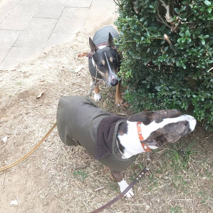 51b952ad 5939 4349 88aa 50f7c031f39d