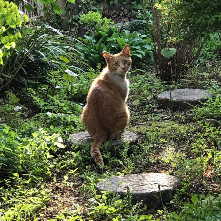 51b98915 4d86 4f78 80b4 b363ca89d6ab