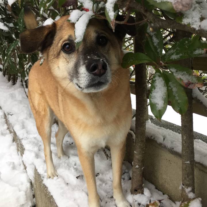 51ba6e0e 763b 4174 8099 698645e57359