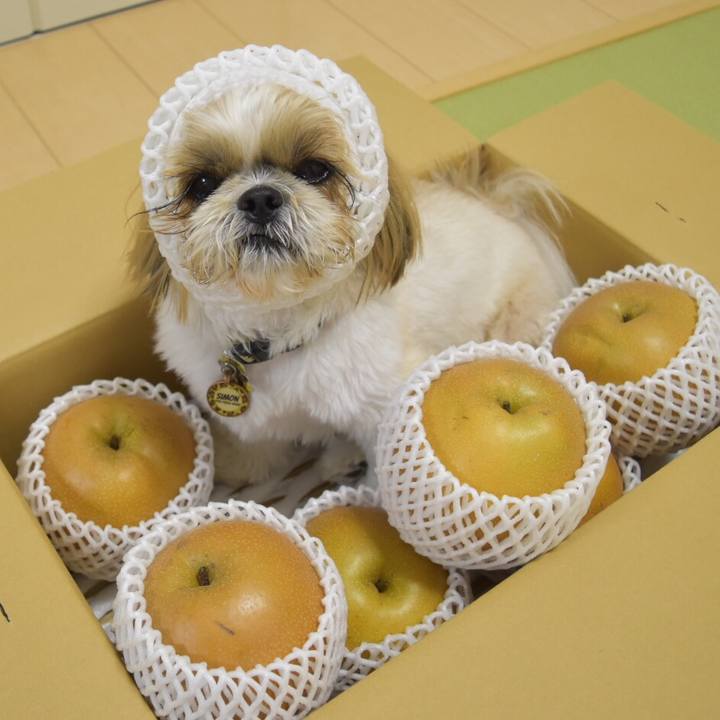 51bb98f9 a916 410f a0c4 75e3503511d1