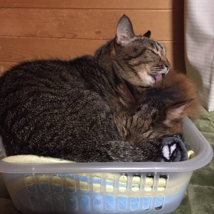 51bbdecb 3fd8 4693 a31f 0c07fdd16092