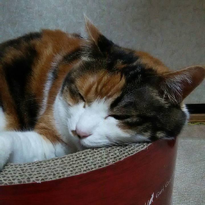 51bc25db d956 4822 8da2 4724afcf7988