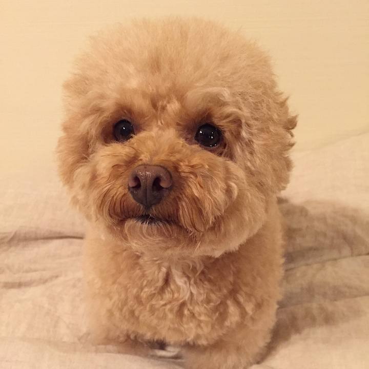 51bd657e 95fd 4354 922c 368eae7a4db9