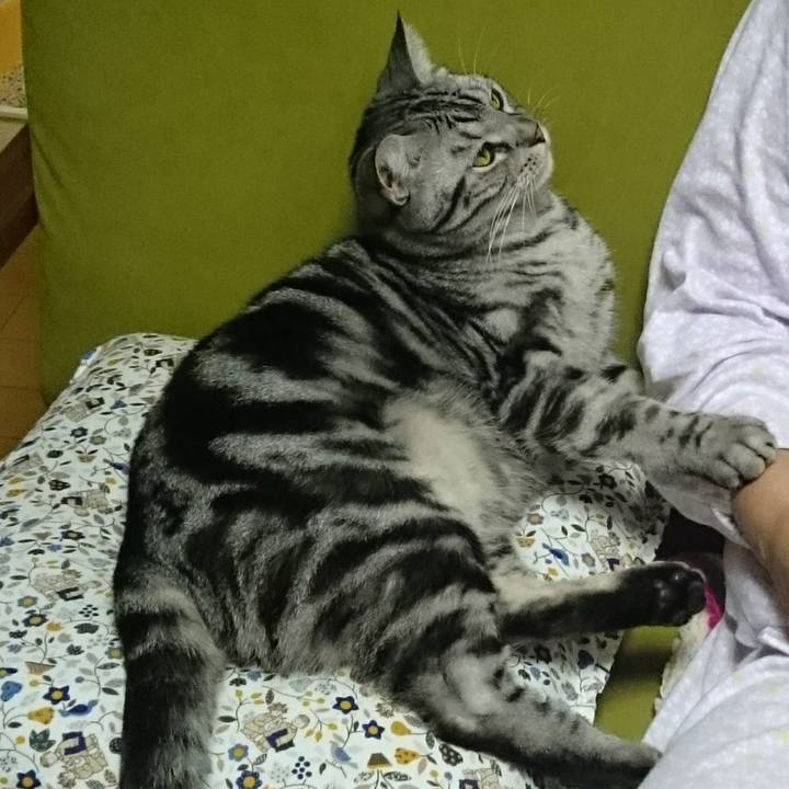 51be3ecd 95d7 41da 96cf 05b3ac5dafc1