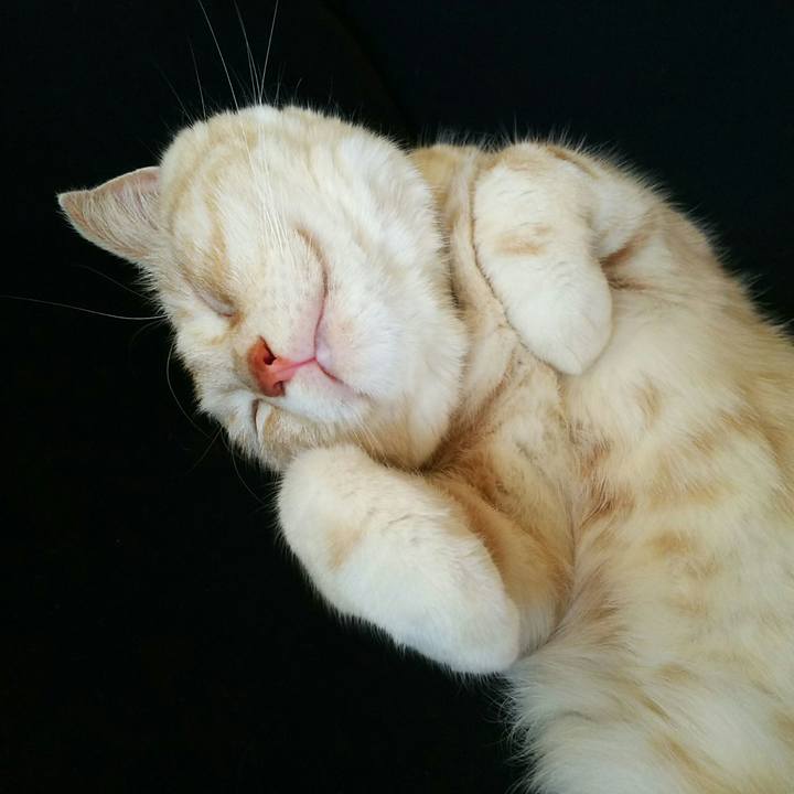 51bf7b93 4b80 4194 a2b1 f868f21478a1