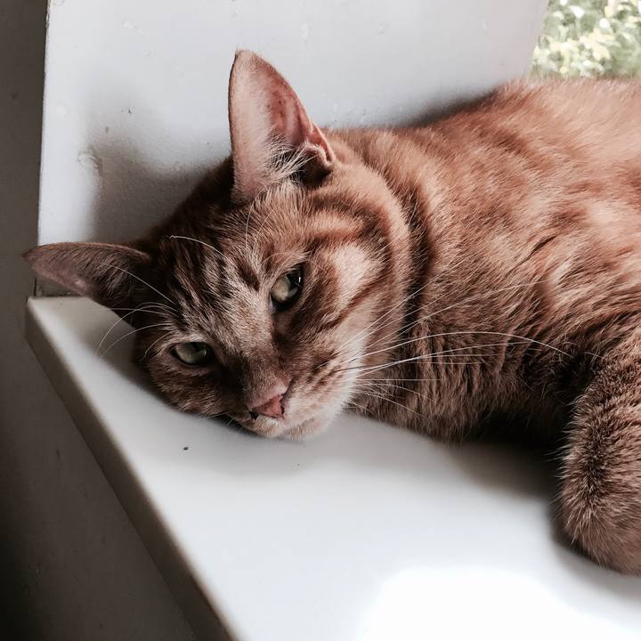 51bfcb13 0d39 4aec adf2 d68584cb5289