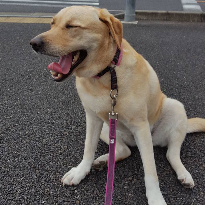 51bfef1f 8470 4d99 a8d5 6b139753f1a1