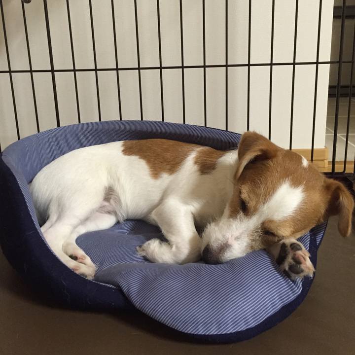 51c0ba7d 23bb 4117 934e 03e67cce007c