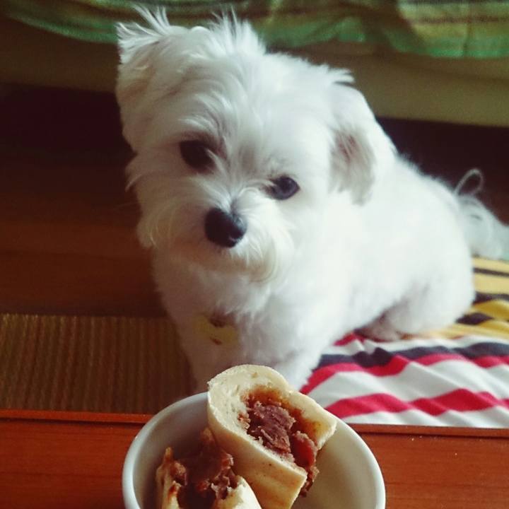 51c14104 1617 437a a735 ec512b35cf18