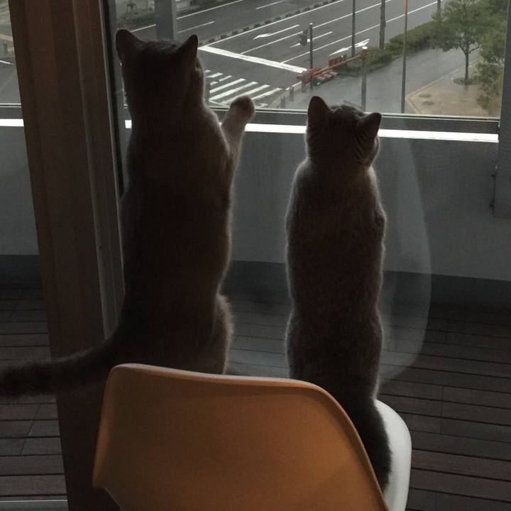 51c15f0e f090 4d61 9dd1 e87fec743458