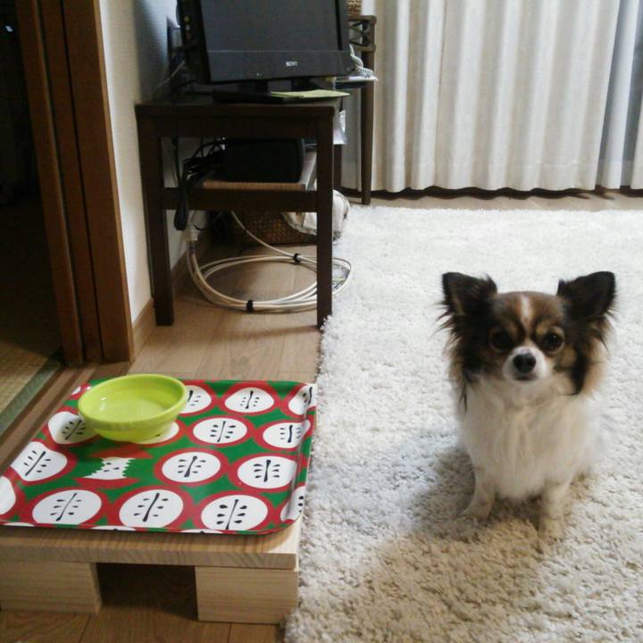 51c1dbef a67f 47db 9b92 ed03c0bfaa3c