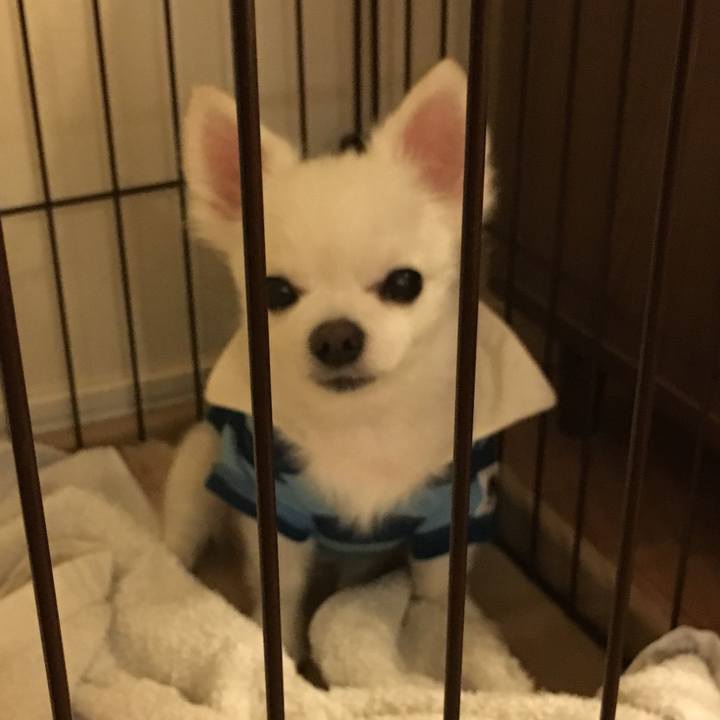 51c1e03a 005c 4f5e b041 0db5da9ee937