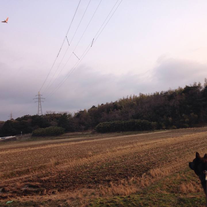 51c1f145 b96f 4865 8491 dc4c7056b9d6