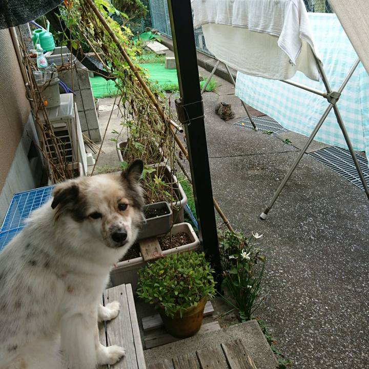 51c352ce 991e 4ddf bac4 7a1831dfe5d9