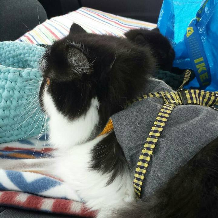 51c38d3e 8331 49c0 b90e 12a086e268f9