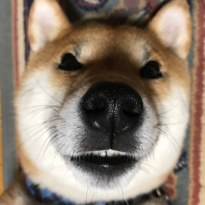 51c3a495 ba3f 4cb8 80f3 f631828a61d4