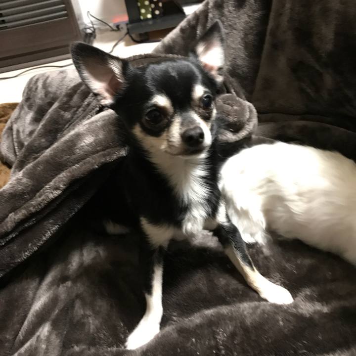 51c3c9d0 9d73 4a02 ae36 1382f02c83c7