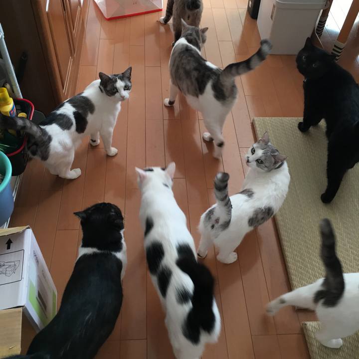 51c49853 7279 4b52 9a11 40075cc0d343